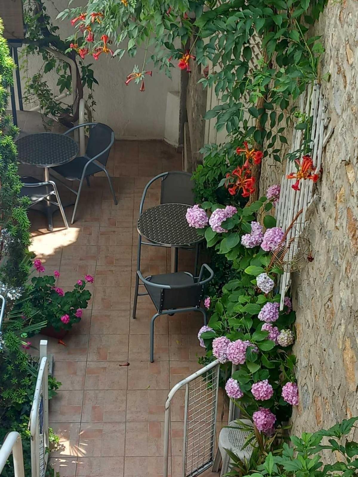 אוהריד Vila Kosta City Center Port מראה חיצוני תמונה